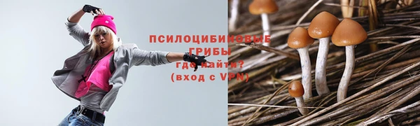 а пвп мука Новозыбков
