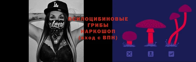 а пвп мука Новозыбков