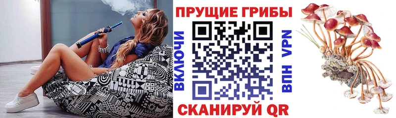 МЕГА зеркало  мориарти состав  Галлюциногенные грибы Cubensis  Ленинск 